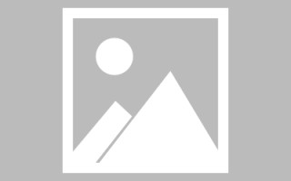 巴中搭建网站招聘信息（网站制作 招聘）
